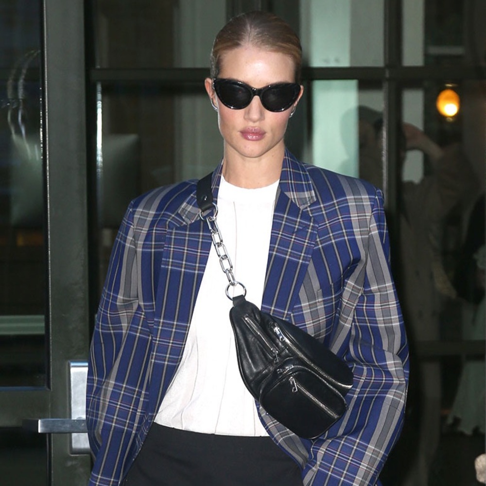 Alexander Wang Attica Bag